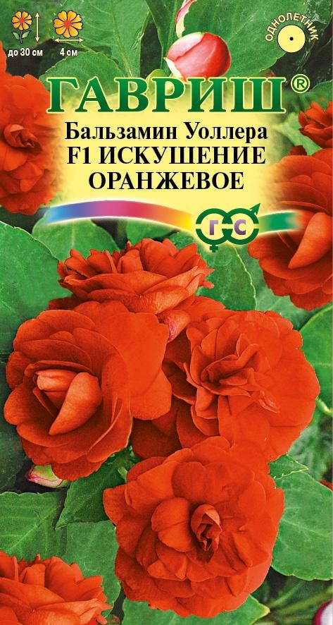Семена Бальзамин Искушение оранжевое F1 (Уоллера)* 4 шт.