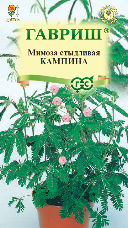 Семена Мимоза стыдливая Кампина* 0,1 г