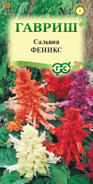 Семена Сальвия Феникс, смесь* 0,05 г 
