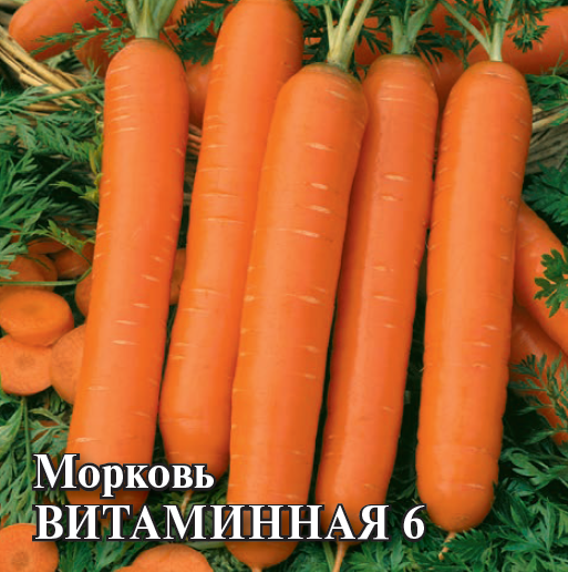 Семена Морковь Витаминная 6  25,0 г