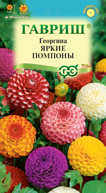 Семена Георгина Яркие помпоны 0,2 г  