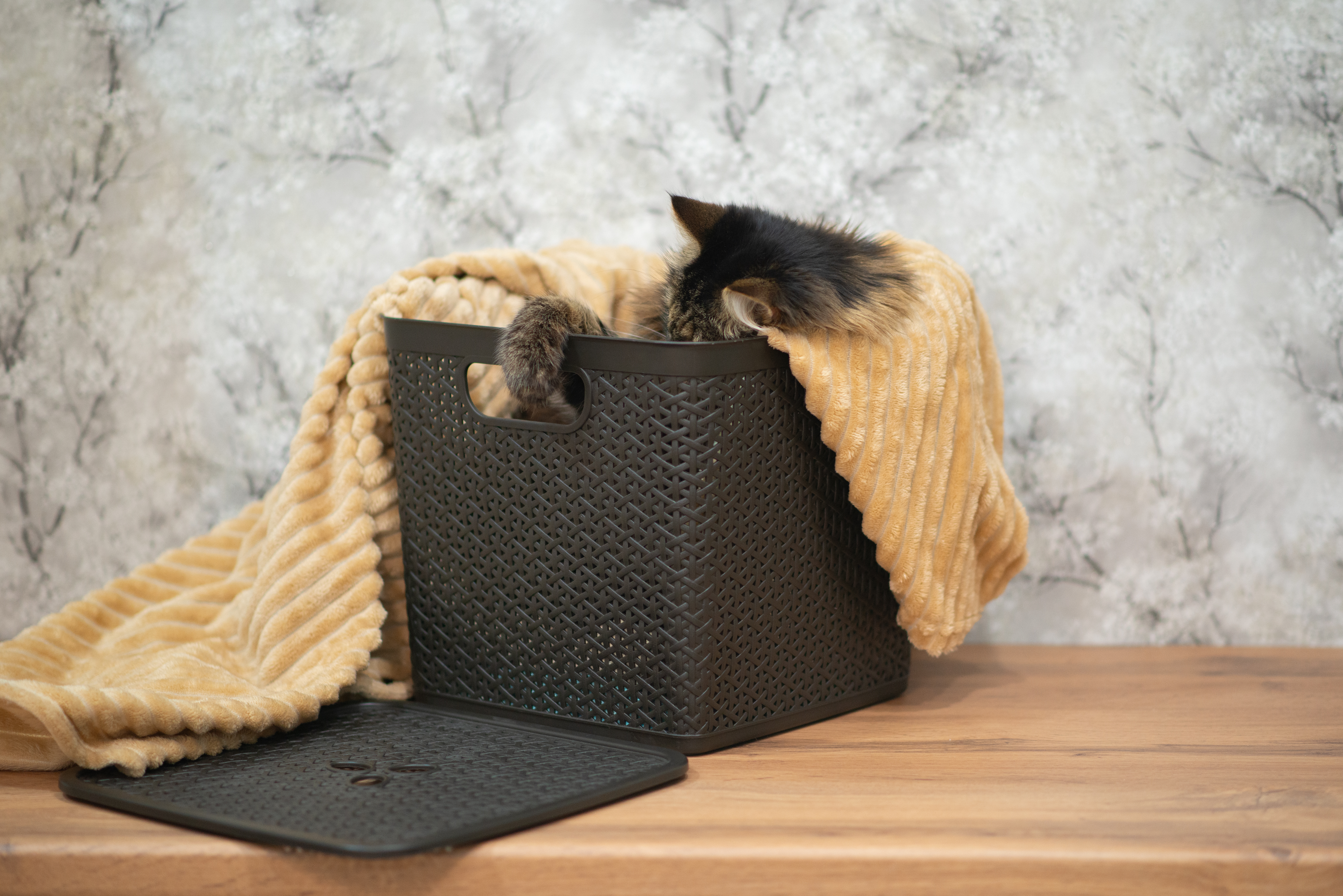 Корзина для хранения Keeplex Rattan со съемной крышкой 21л квадратная 31х31х28см темный каштан