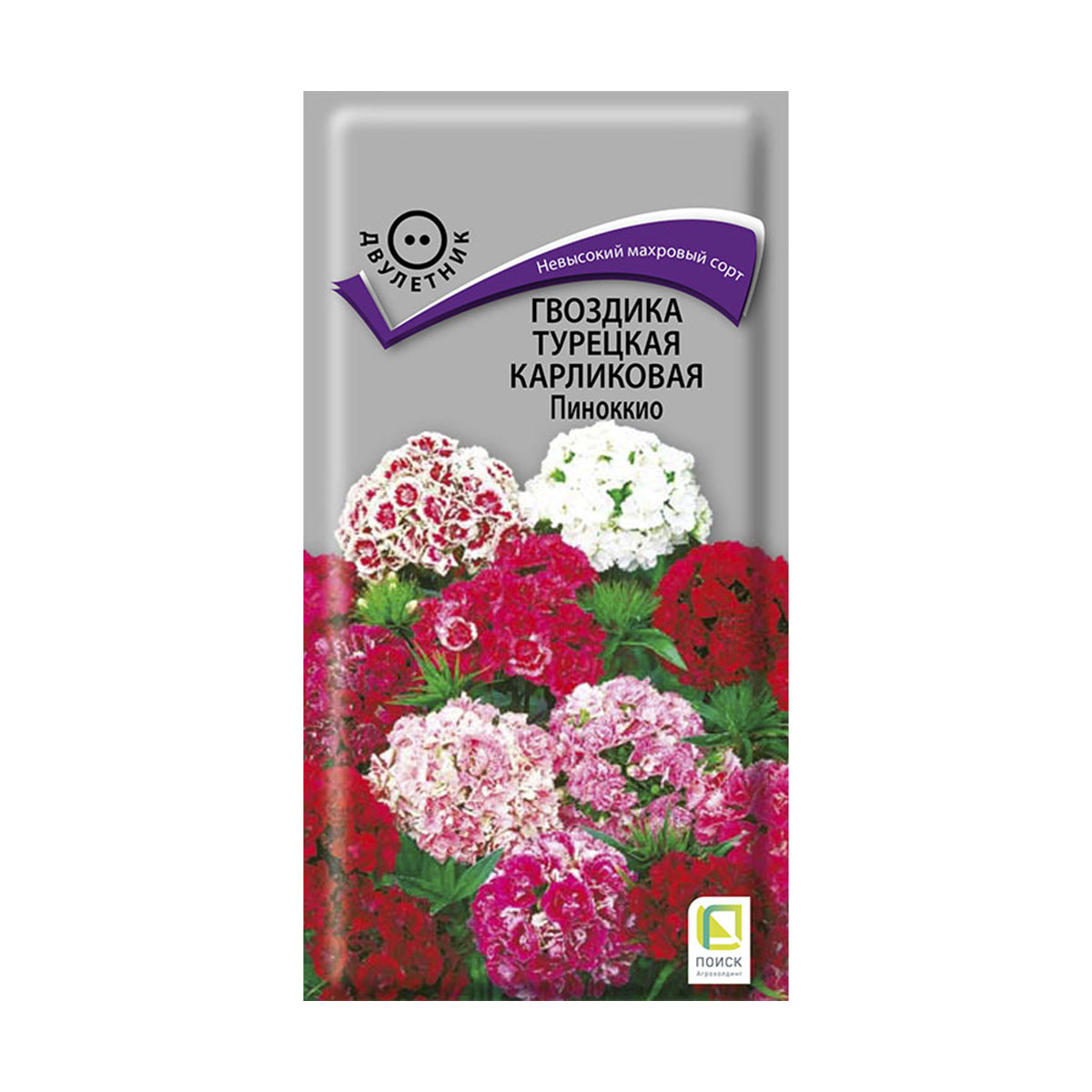 Семена цветов Гвоздика Турецкая Карликовая Пиноккио Поиск, 0,3 г