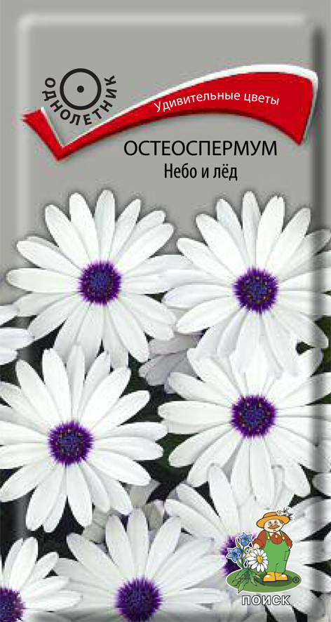 Семена цветов Остеоспермум Небо и лёд Поиск, 0,1 г