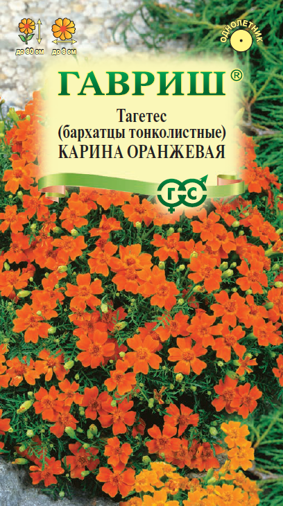 Семена Бархатцы тонколист. Карина оранжевая (Тагетес) 0,05 г DH