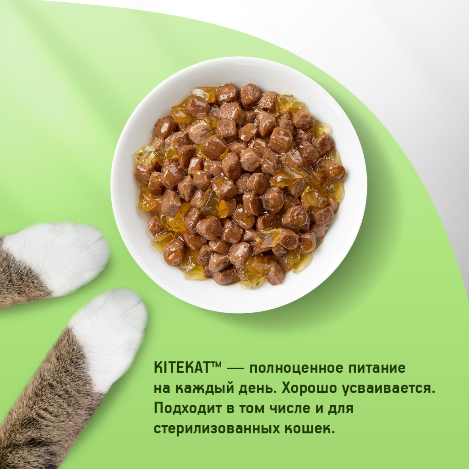 Влажный корм KiteKat для кошек, нежный кролик в желе, 85 г