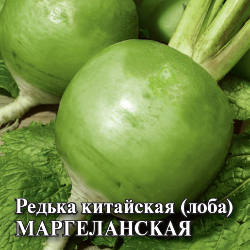Семена Редька Маргеланская 25,0 г