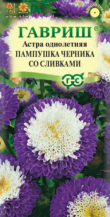 Семена Астра Пампушка черника со сливками, однолетняя (помпонная) 0,3 г  