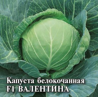 Семена Капуста белокоч. Валентина F1 25,0 г для хранения