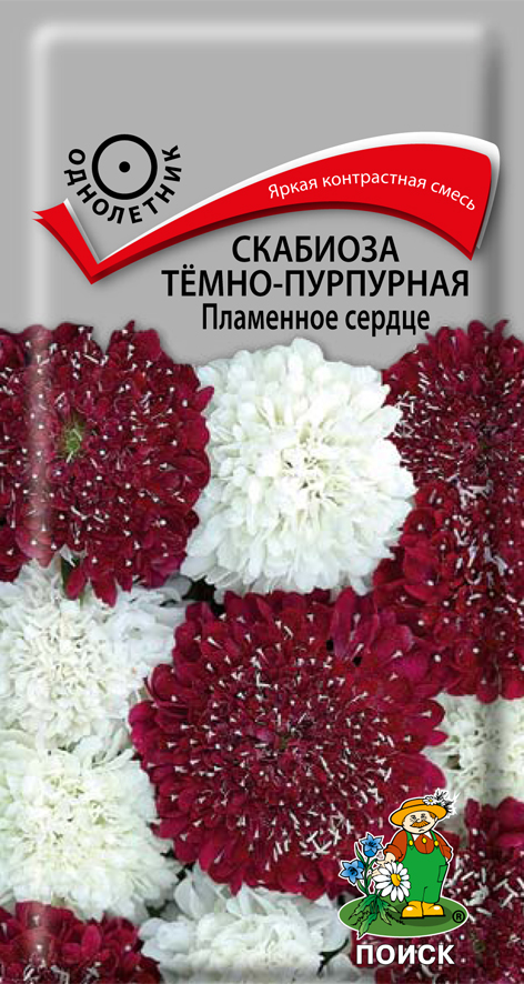 Семена цветов Скабиоза темно-пурпурная Пламенное сердце Поиск, 10 шт
