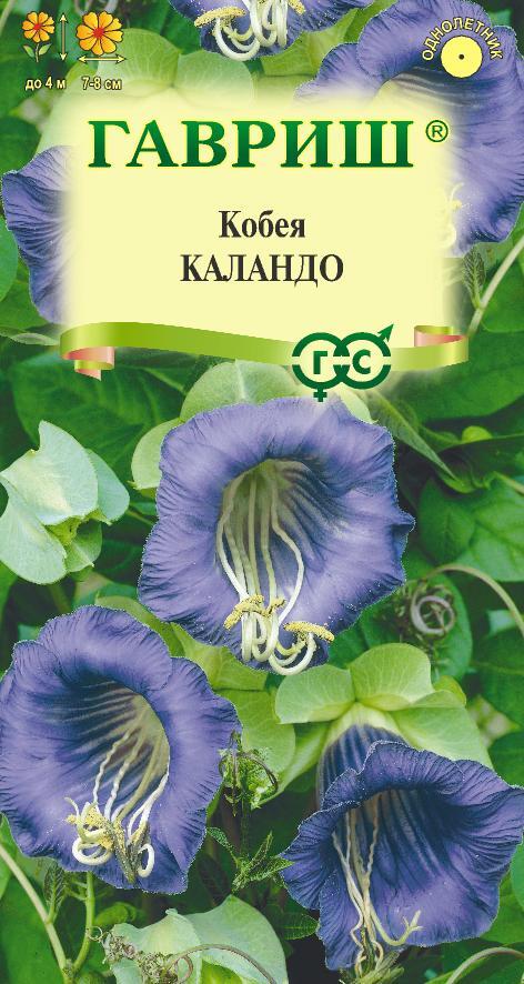 Семена Кобея лазящая Каландо 5 шт.