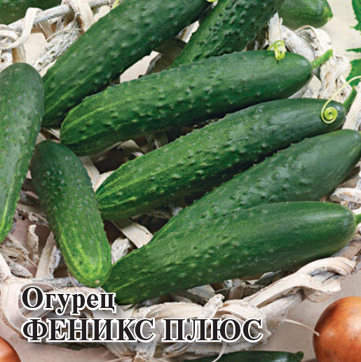 Семена Огурец Феникс плюс 25,0 г