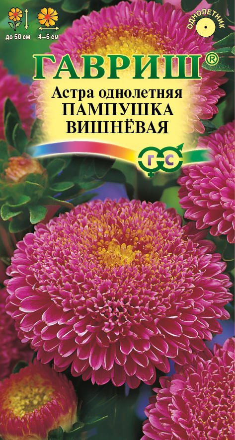 Семена Астра Пампушка вишневая, однолетняя (помпонная) 0,3 г 