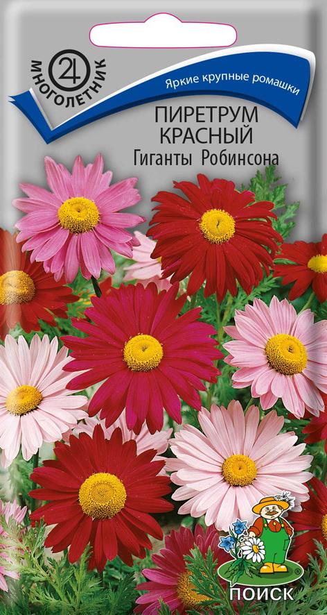 Семена цветов Пиретрум красный Гиганты Робинсона Поиск, 0,2 г