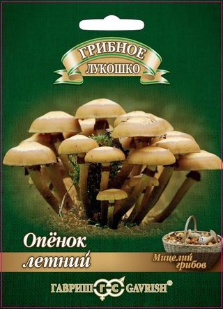 Семена Опенок летний на древесной палочке, больш. пак. 12 шт