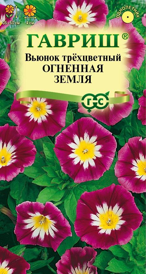 Семена Вьюнок трехцветный Огненная земля 0,5 г