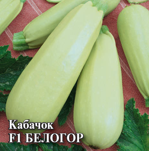 Семена Кабачок Белогор F1 100,0 г