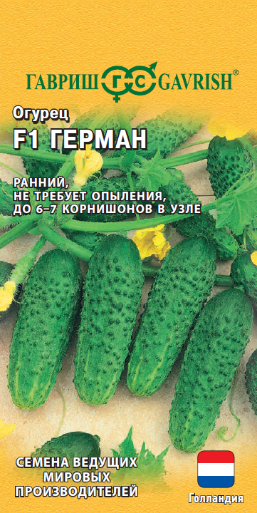 Семена Огурец Герман F1 5 шт. корнишон (Голландия)