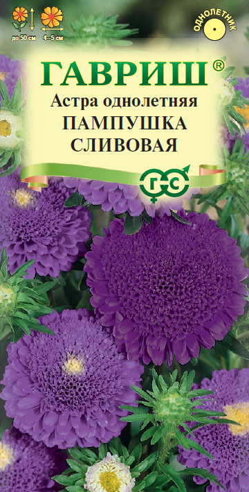 Семена Астра Пампушка сливовая, однолетняя (помпонная) 0,3 г DH