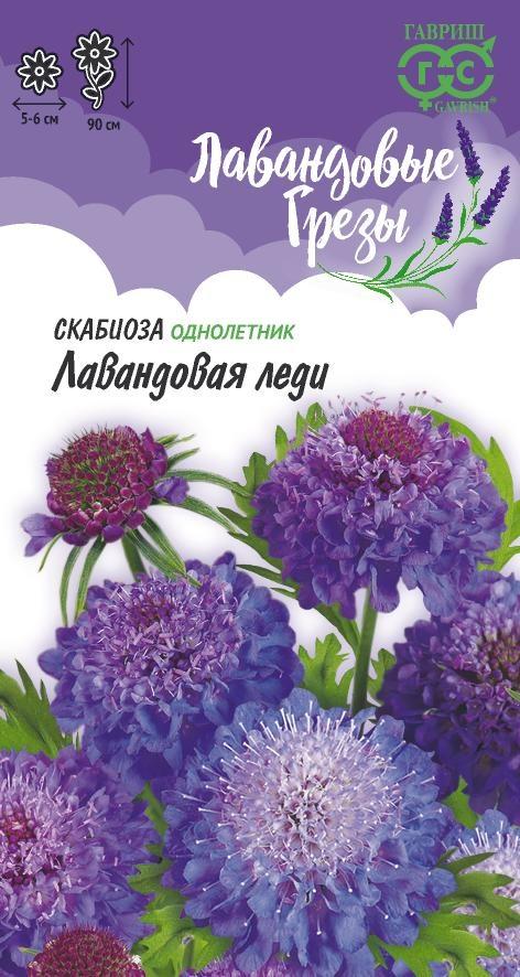 Семена Скабиоза пурпурная Лавандовая леди, махр. 0,2 г  Серия Лавандовые грёзы DH