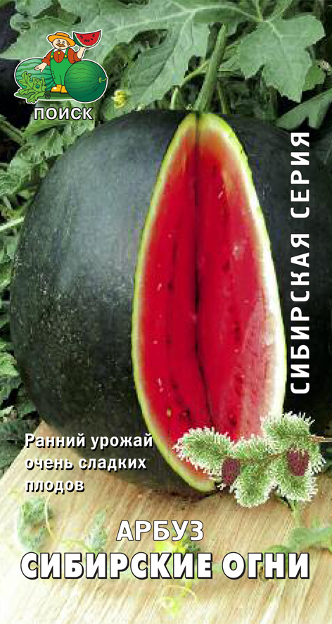 Семена Арбуз Сибирские огни Поиск Сибирская серия, 15 шт
