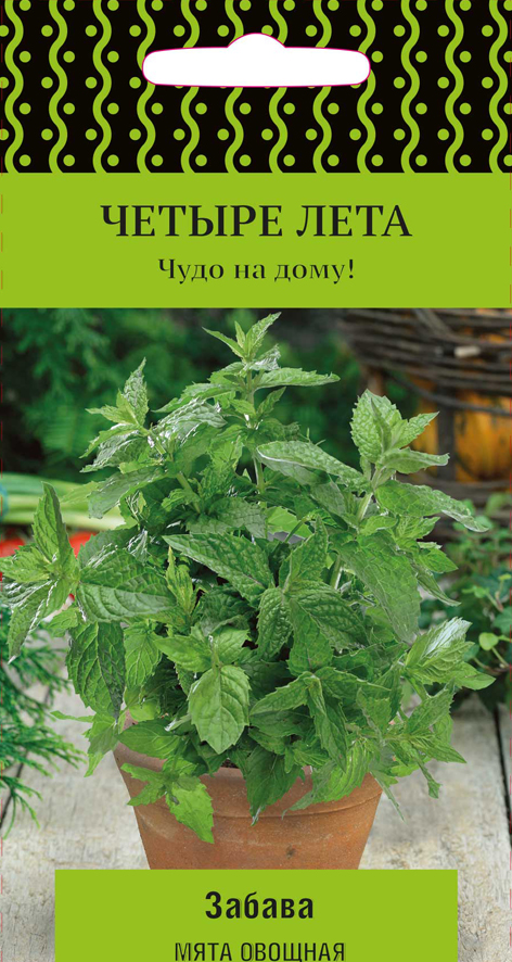 Семена Мята овощная Забава Четыре лета, 20 шт