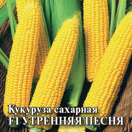 Семена Кукуруза Утренняя песня F1 100 г 