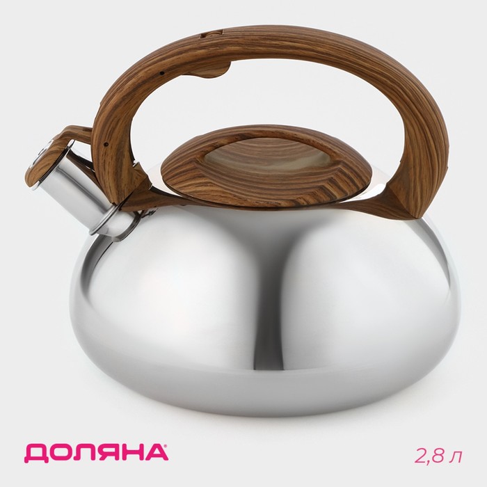Чайник со свистком 2,8 л "Квант", коричневый, ручка soft-touch, индукция
