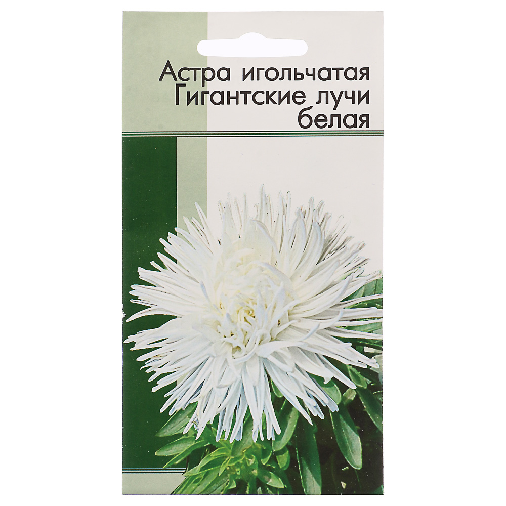 Семена Астра Гигантские лучи Белая 0,2 гр