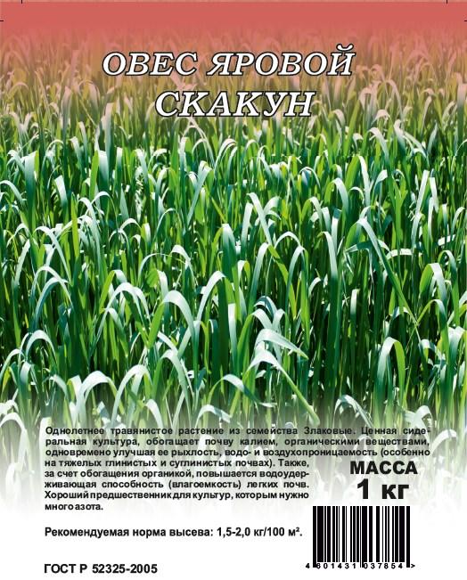 Семена Овес посевной Скакун (сидерат) 1 кг