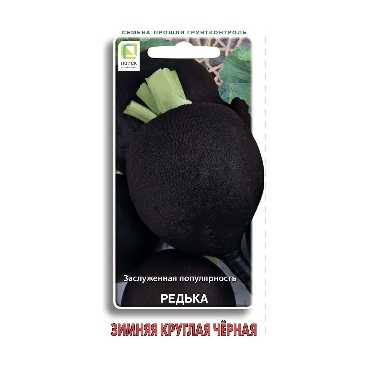 Семена Редька зимняя Круглая черная Поиск, 2 г