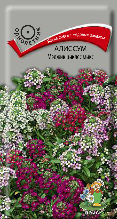 Семена цветов Алиссум Мэджик циклес микс Поиск, 0,1 г