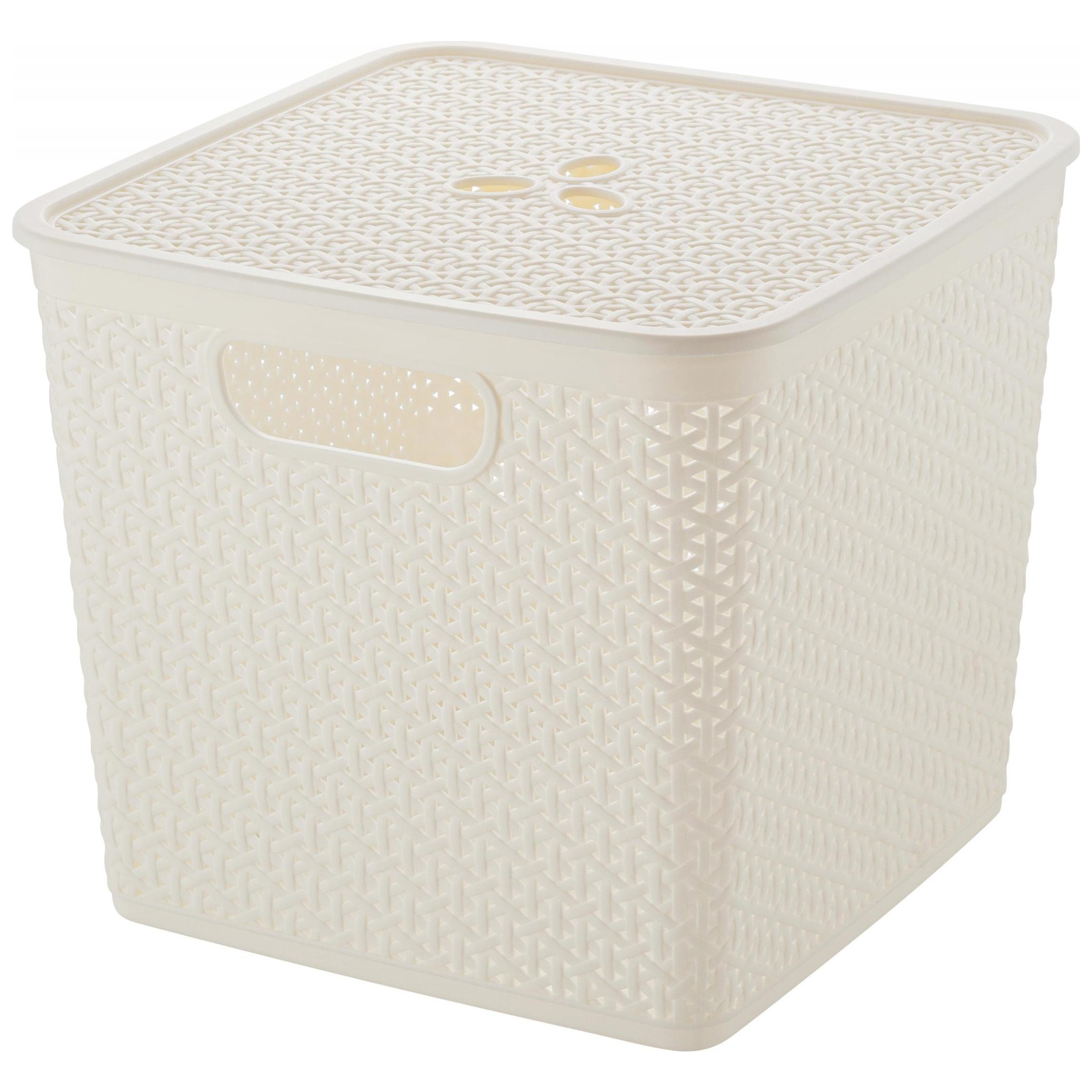 Корзина для хранения Keeplex Rattan, со съемной крышкой, 21 л, квадратная, 30х30х28 см, белое облако