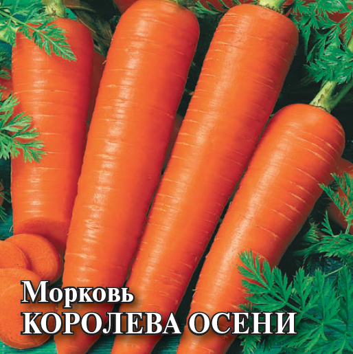 Семена Морковь Королева Осени 25,0 г