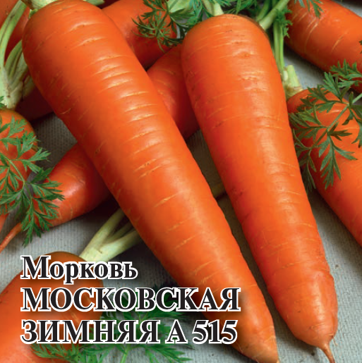 Семена Морковь Московская зимняя А 515  100 г