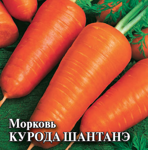 Семена Морковь Курода Шантанэ 25,0 г