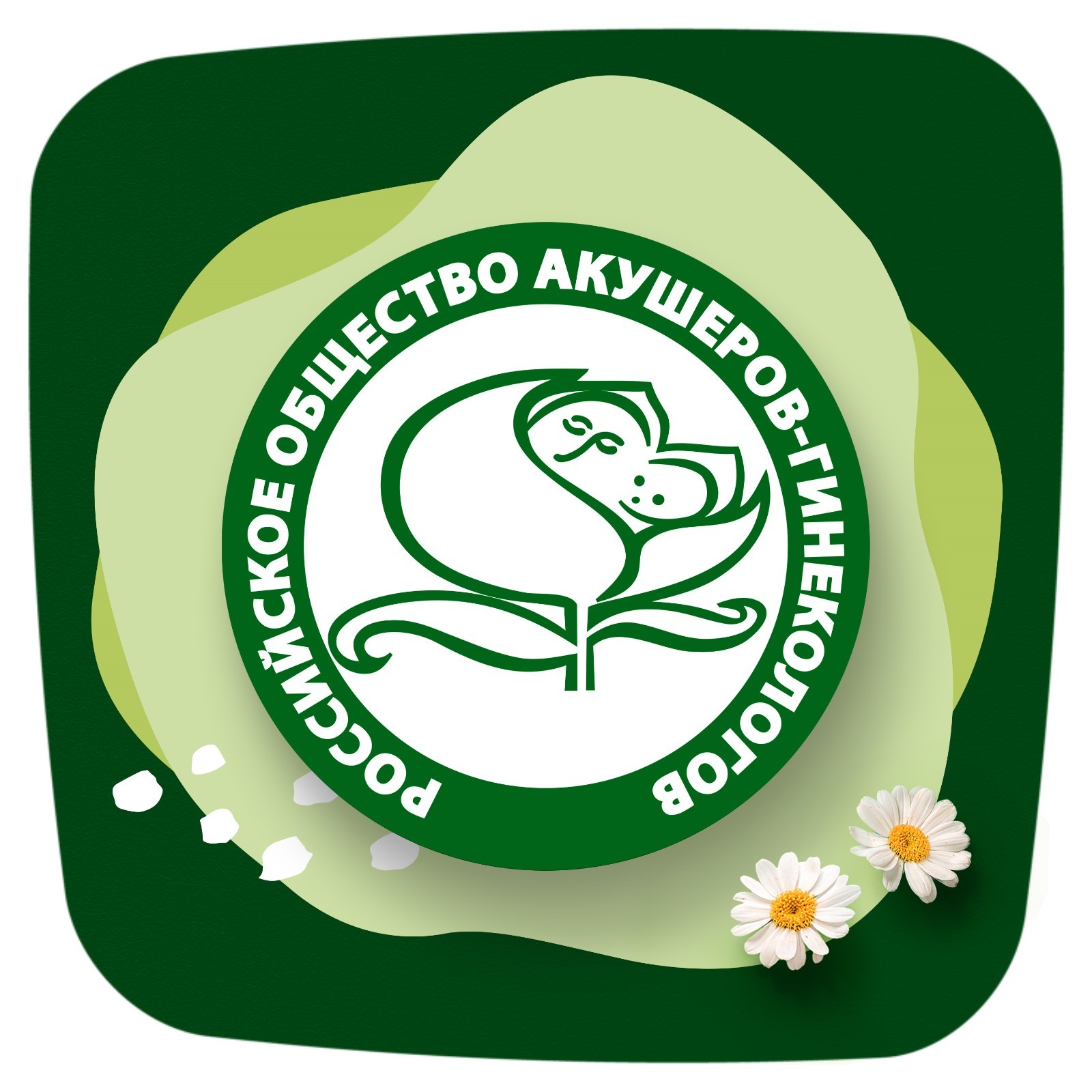 Прокладки гигиенические Naturella Classic Camomile Night Single с крылышками 6 шт
