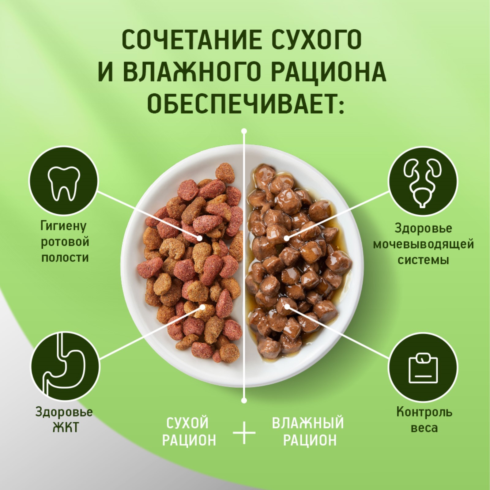 Влажный корм KiteKat для кошек, нежный кролик в желе, 85 г