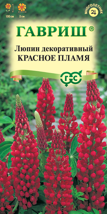 Семена Люпин Красное пламя  0,5 г