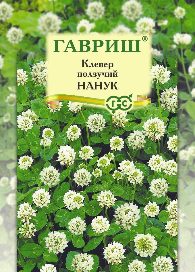 Семена Клевер ползучий белый Нанук (сидерат), больш. пак. 20 г
