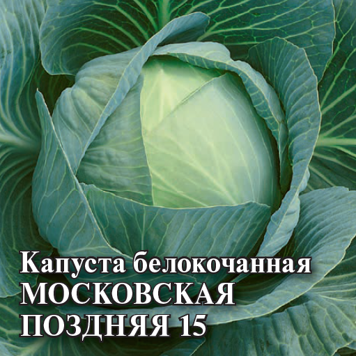 Семена Капуста белокоч. Московская поздняя 15  25,0 г (для квашения)