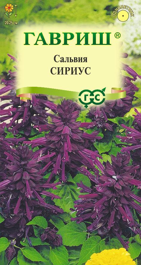 Семена Сальвия Сириус,* карликовая 4 шт. 