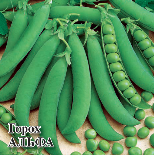 Семена Горох Альфа 100,0 г