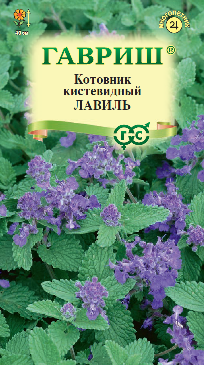 Семена Котовник кистевидный Лавиль 0,03 г Н22