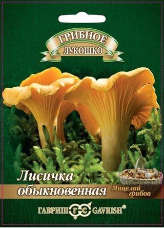 Семена Лисички на зерновом субстрате, больш. пак. 15 мл