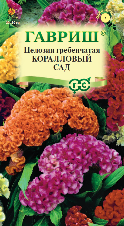 Семена Целозия Коралловый сад гребенчатая  0,2 г DH