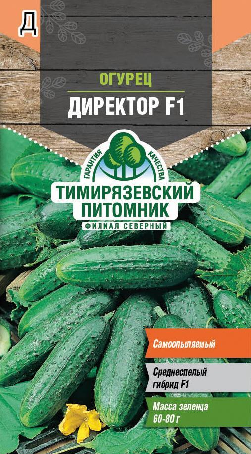 Семена Огурец Директор F1 Тимирязевский питомник, 5 шт