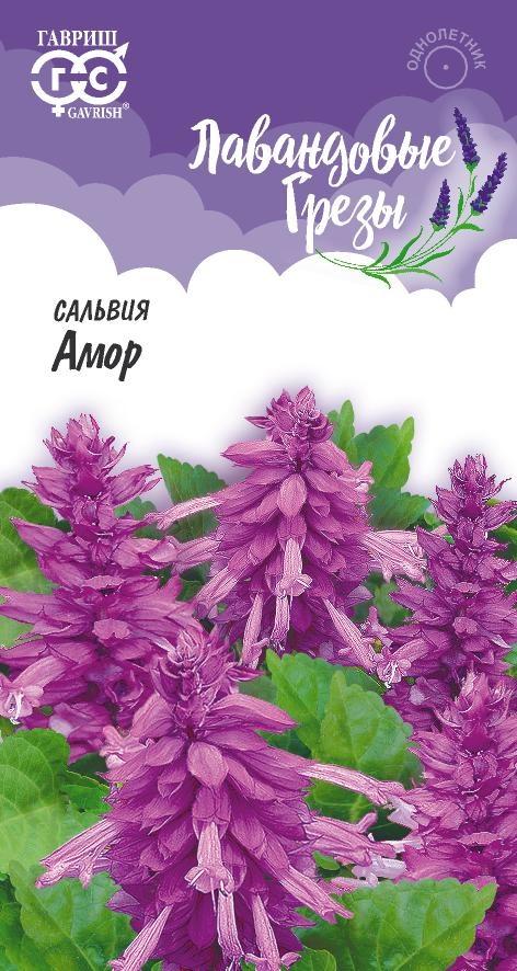 Семена Сальвия Лавандовая Амор*  4 шт. серия Лавандовые грёзы