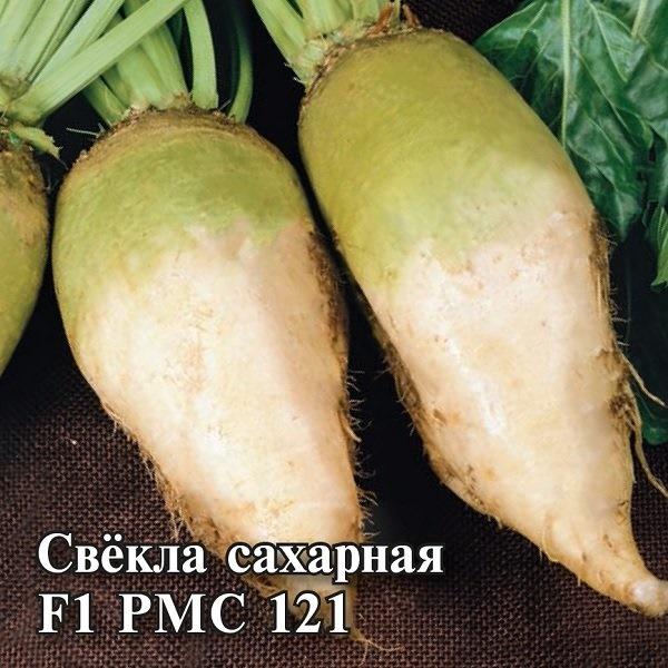 Семена Свекла сахарная РМС 121 F1 инкрустированная (1 п.е.) 2,1 кг