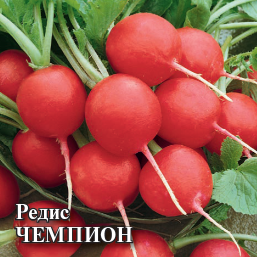 Семена Редис Чемпион 50,0 г
